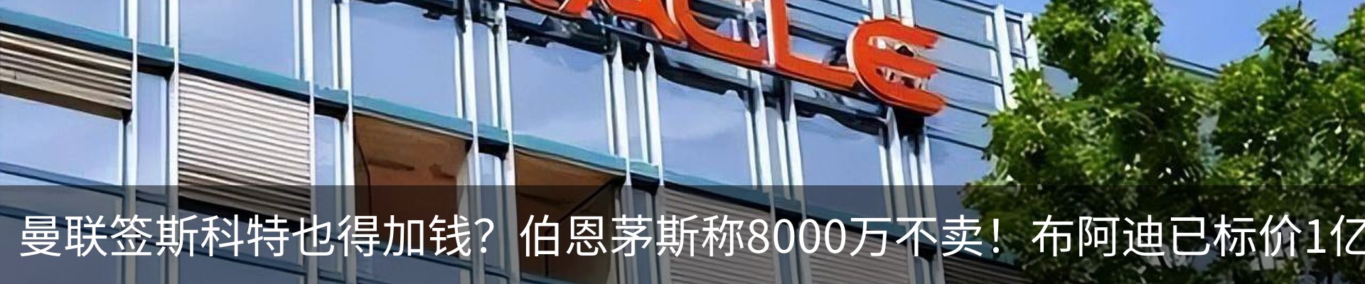 新闻动态