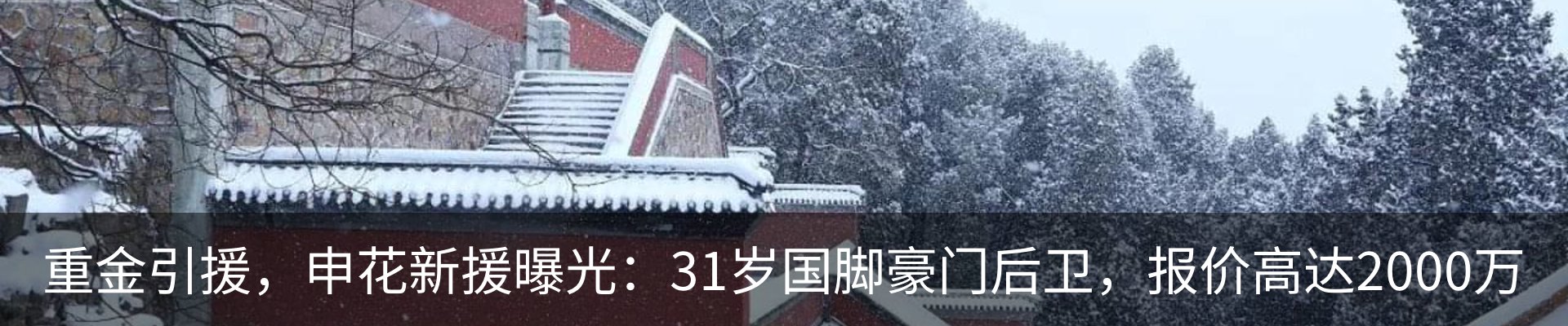新闻动态