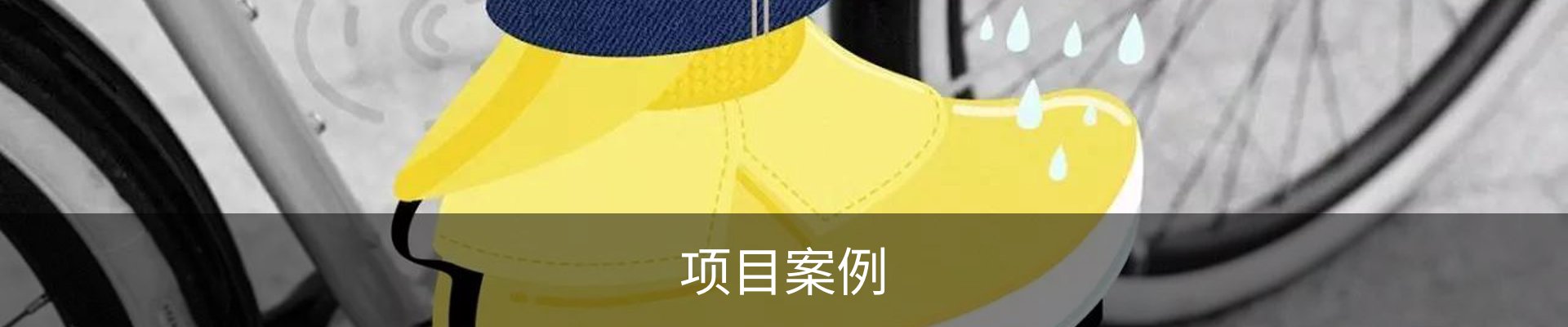 项目案例